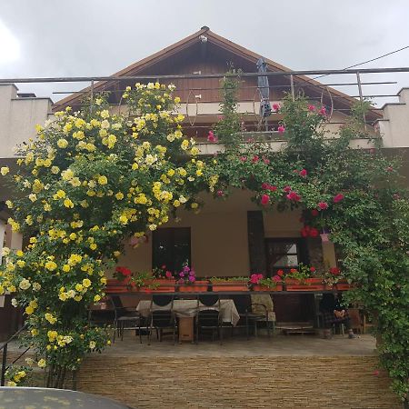 Casa Delia Hotel Călimăneşti Екстериор снимка
