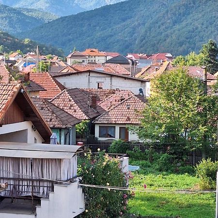 Casa Delia Hotel Călimăneşti Екстериор снимка