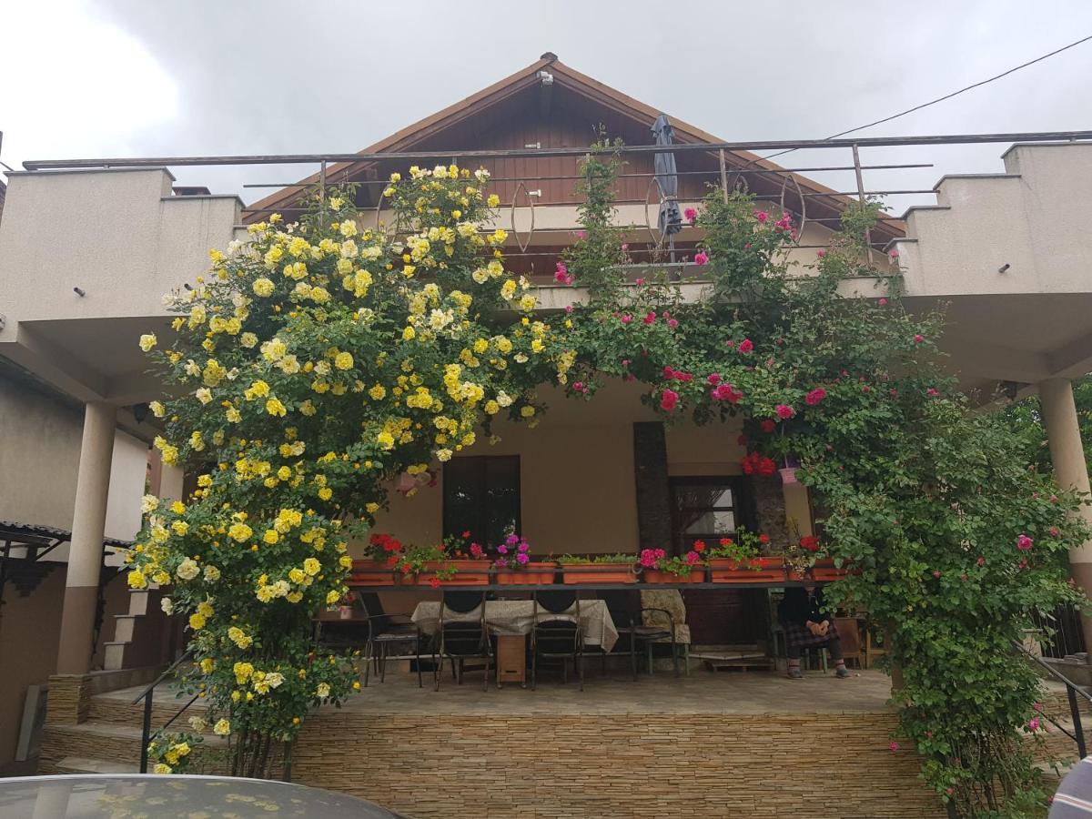 Casa Delia Hotel Călimăneşti Екстериор снимка