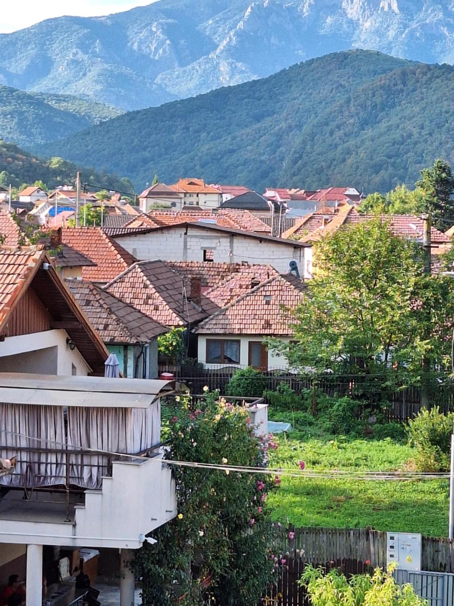 Casa Delia Hotel Călimăneşti Екстериор снимка