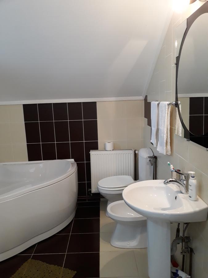 Casa Delia Hotel Călimăneşti Екстериор снимка