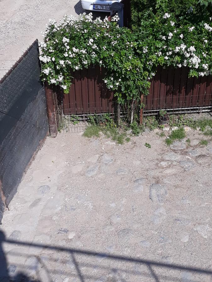 Casa Delia Hotel Călimăneşti Екстериор снимка