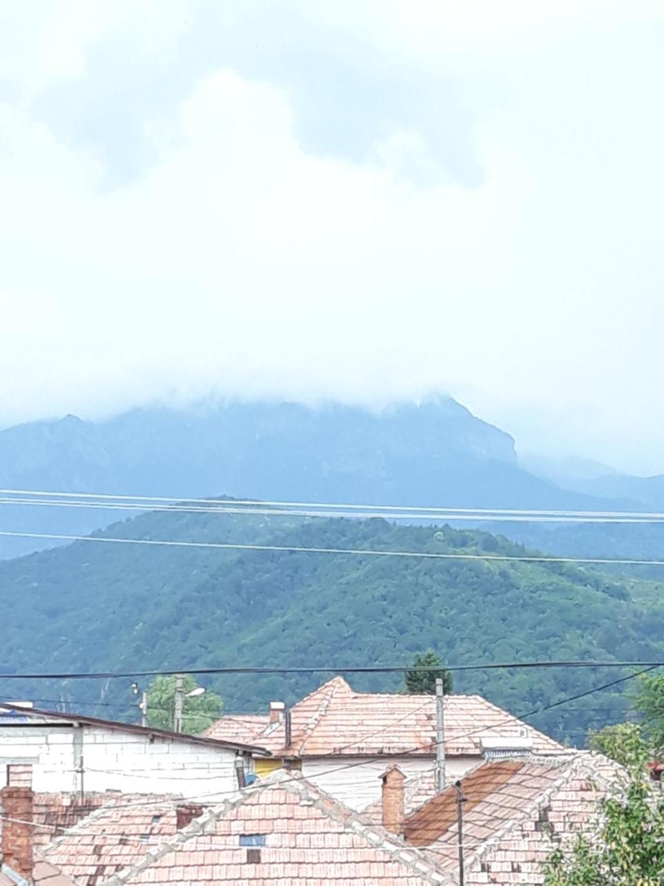Casa Delia Hotel Călimăneşti Екстериор снимка